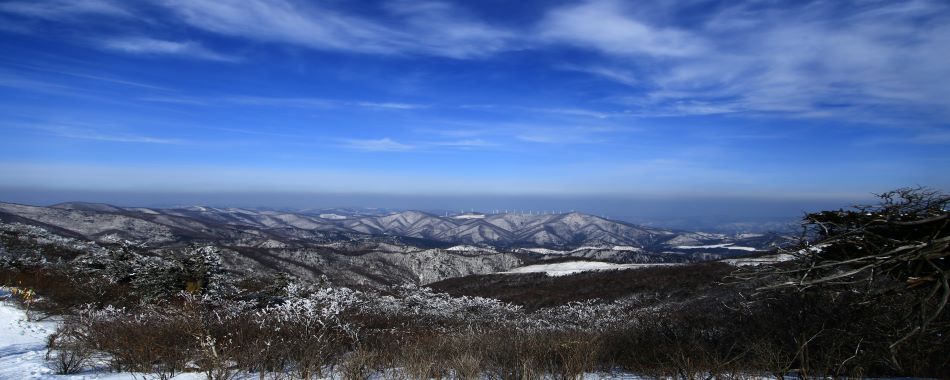 눈 덮인 산하, 홀로 걷고 싶은 그곳! 함백산 겨울 트레킹