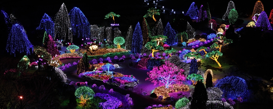 아침고요수목원, 오색 별빛으로 빛나다 - 오색별빛정원전