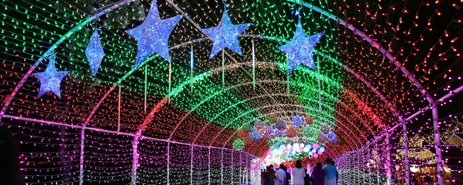 빛으로 반짝이는 추억, 청도 프로방스 포토랜드