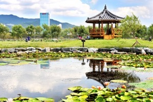 사계절 꽃이 피어나는 곳, 삼락생태공원,부산광역시 사상구