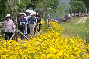 ‘금강로하스축제’로 떠나는 봄나들이,대전광역시 대덕구