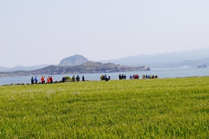 초록이 봄을 말하는 곳, 서귀포 가파도청보리축제