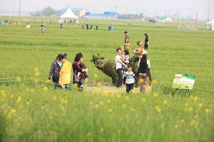 김제 지평선 추억의 보리밭 축제에서 봄빛을 만나다,전라북도 김제시