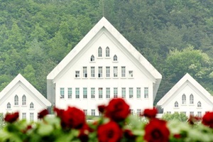 볼 ‘꽃’ 많은 정원, 조선대학교 장미원,국내여행,음식정보