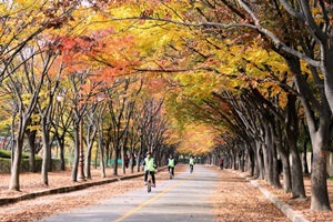 인천의 너른 쉼터, 인천대공원,국내여행,음식정보