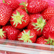 딸기 (삼례 고산 완창),지역특산물,국내여행