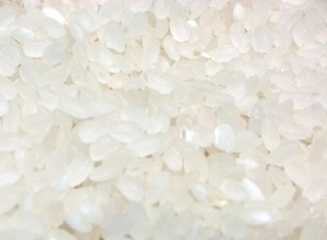 철마쌀,지역특산물,국내여행