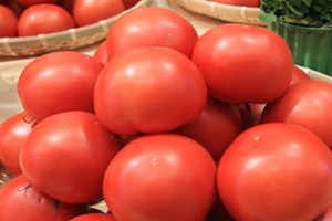 지산 토마토,국내여행,음식정보