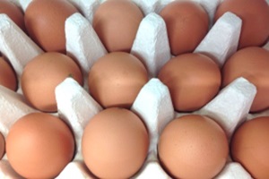 봉황농장 계란,경기도 화성시,지역특산물