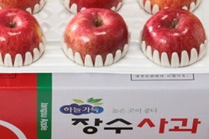 장수사과,전라북도 장수군,지역특산물