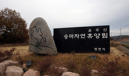 이미지명