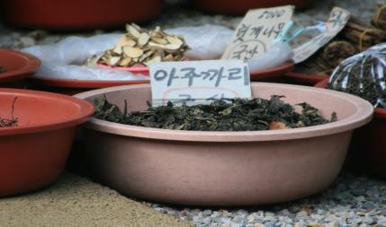 이미지명