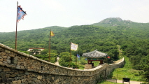 금정산에서 만난 초록빛 이야기,경기도 평택시