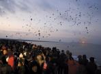 군산새만금해맞이행사,지역축제,축제정보