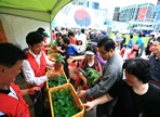  2025 영양고추 H.O.T Festival,지역축제,축제정보