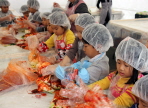 배내골사과축제,지역축제,축제정보