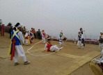울산서머페스티벌,지역축제,축제정보