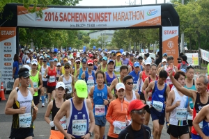 인천 왕산 해양축제,지역축제,축제정보