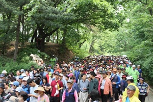우장산신록축제,국내여행,음식정보