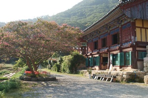 만덕산백련사 8국사다례문화제,국내여행,음식정보