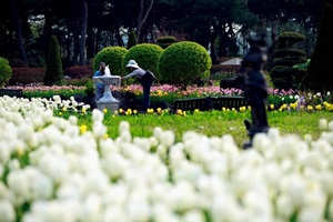 벽초지수목원 봄꽃, 튤립축제,국내여행,음식정보