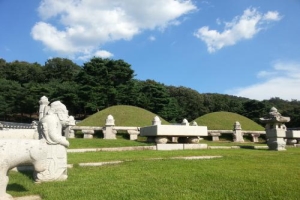 매주 화~일 반일코스 오전,광주광역시 동구