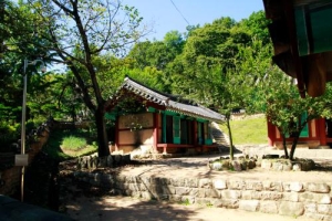 매주 화~일 종일코스 ,광주광역시 동구