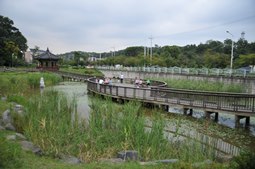궁동저수지 생태공원,국내여행,여행지추천