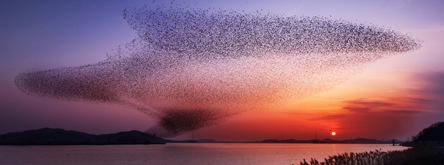 서천의 금강하구와 유부도
