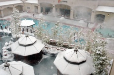 온 가족 맞춤형 ‘숲세권’ 힐링 온천, 아산온천, 국내여행, 여행정보