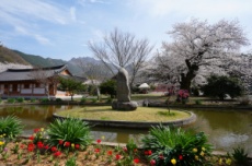 전남도 천년사찰 5곳, 세계적 명상관광 거점으로 육성, 국내여행, 여행정보