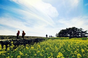 4월엔 느린 걸음으로 ‘청산 완보(緩步)’ 
