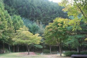 자연과 하나 되는 봉학골산림욕장