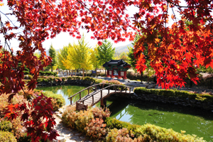 나 홀로 떠나는 제천 가을여행