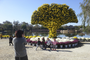 백제국으로 떠나는 국화여행, 제15회 굿뜨래국화전시회