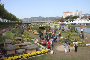 축제의 여운, 국화 향기로 채워