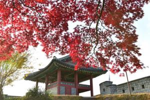 수원화성 성곽길, 광교호수공원 등 10곳, 단풍이 아름다운 거리로 선정 