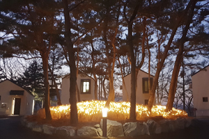 옥화자연휴양림 다가오는 연말연시를 맞아 LED 꼬마전구 설치