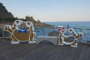 삼척시, 기해년 새해를 맞아 낭만과 추억을 담아보세요~