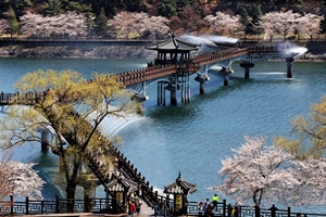 봄꽃향기 가득한 안동 꽃길여행