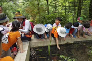 5개 공원에서 30종 숲 체험 프로그램 활짝