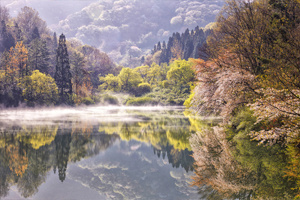 산 벚꽃과 호수가 어우러져 신비로움 간직한 세량지