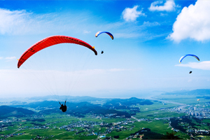 보령에서 따스한 봄 여행 100배 즐겨보자!