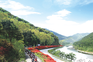 5월 순천만서 온 가족 사랑여행 즐기세요!