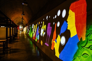 여기는 항상 17℃, 광양에 ‘폭염 프리존’ 동굴 있다