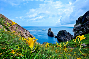 1004섬 신안! “섬 원추리 축제”를 개최한다.