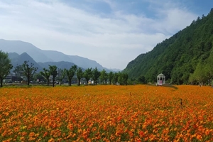 엔조이썸머, 2019평창더위사냥축제 개막