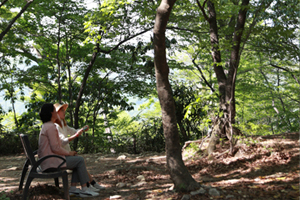 정읍 내장산의 싱그러운 보석, 굴거리나무 군락지