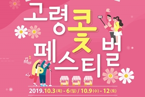 코스모스와 함께하는 가을의 다채로움 ... ‘2019 고령 콫페스티벌’