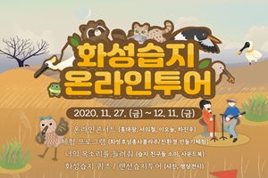 도요새와 ‘화성습지 온라인투어’함께해도요! 